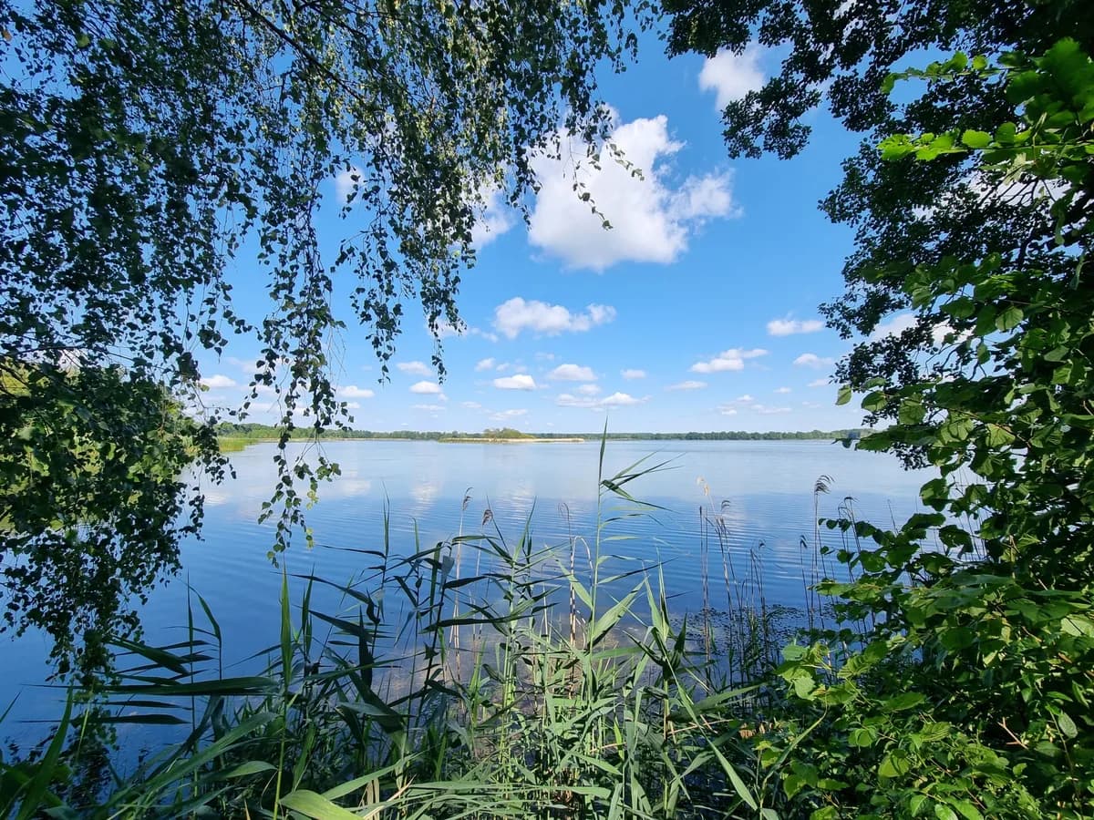 Dolina Baryczy - Dolina Baryczy w sąsiedztwie osiedla Stawna Park w Miliczu