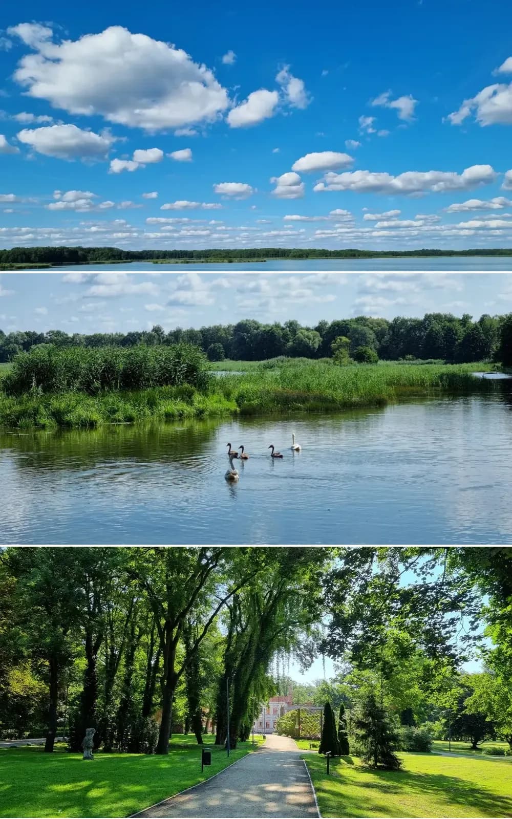 Osiedle Stawna Park w Miliczu, w sercu Doliny Baryczy